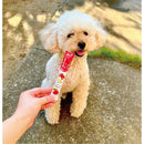 ぺろっとペットデザートブルーベリー  105g(15g×7本)