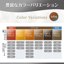 ホーユー シエロ オイルインヘアマニキュア ナチュラルブラウン 100g+3g+10g