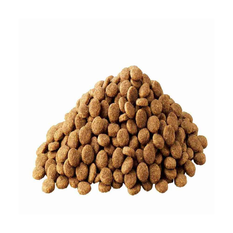 マースジャパン アイムス 成犬用 体重管理用 チキン 中粒 5kg