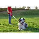 コング ターレイン レッド S メーカー直送 ▼返品・キャンセル不可【他商品との同時購入不可】