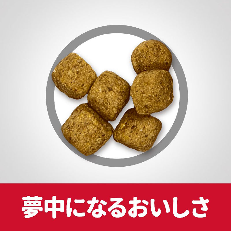 ヒルズ サイエンスダイエット シニアライト小粒肥満傾向高齢犬 6.5kg