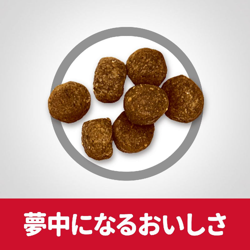 ヒルズ サイエンスダイエット シニアプラス小粒高齢犬用 6.5kg