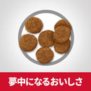 ヒルズ サイエンスダイエット アダルトラム＆ライス小粒成犬用 6.5kg