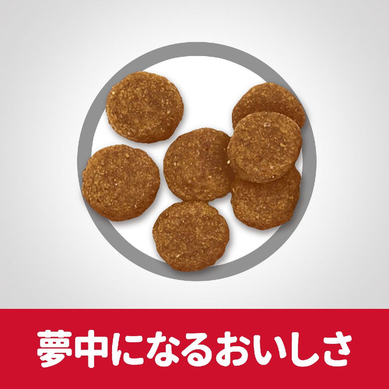 ヒルズ サイエンスダイエット アダルトラム＆ライス小粒成犬用 6.5kg