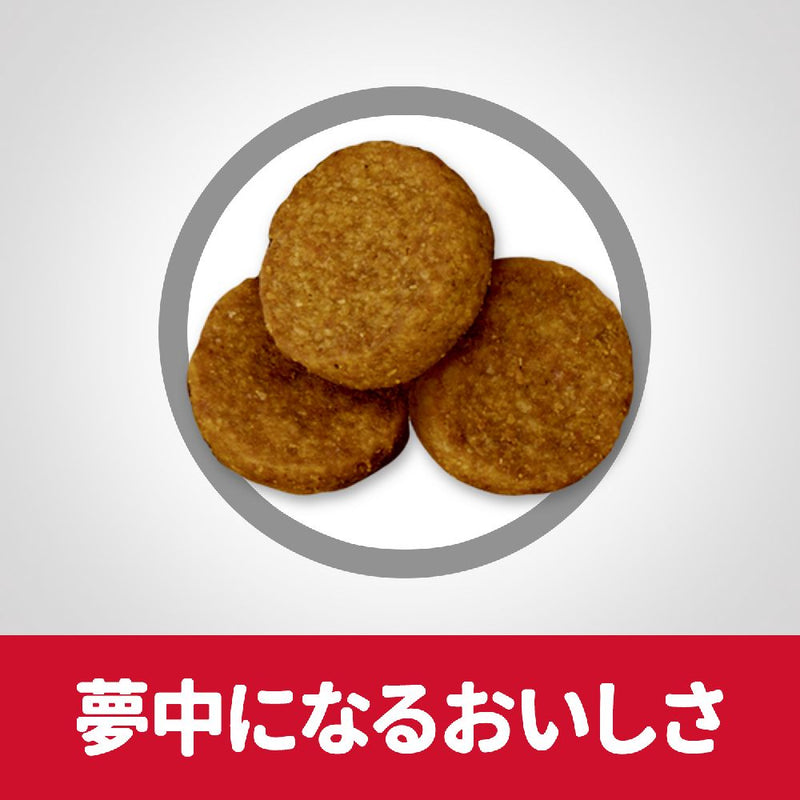 ヒルズ サイエンスダイエット シニア大型犬用高齢犬用 12kg