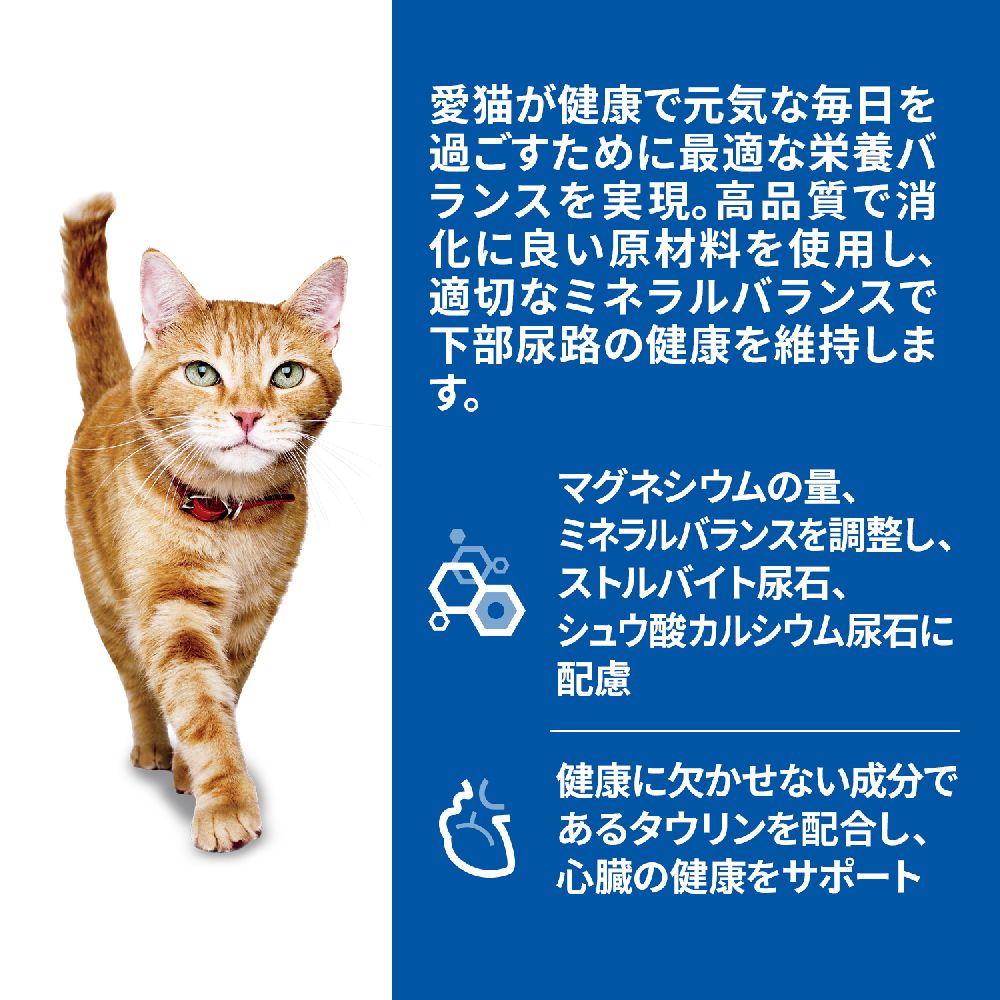 ヒルズ サイエンスダイエット 猫用シニアサーモン7歳以上高齢猫用