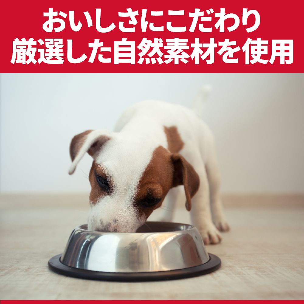 ヒルズ サイエンスダイエット 減量サポート超小粒小型犬1歳以上避妊