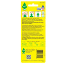 Little Trees  リトルツリー3P True North LT311 ３枚