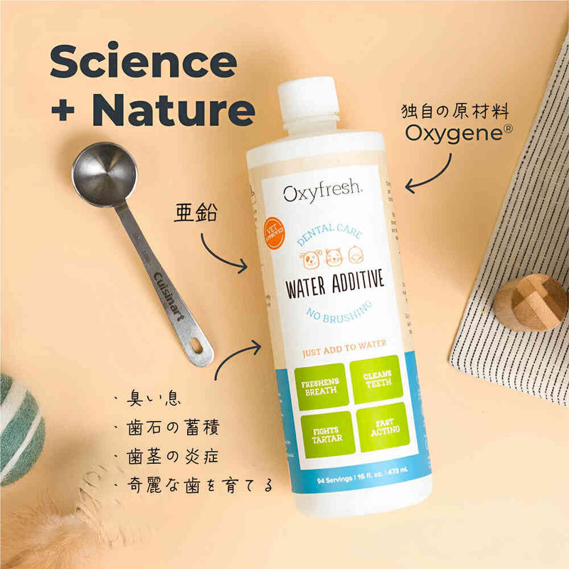 Oxyfreshペットデンタルウォーターアディティブ473ml メーカー直送 ▼返品・キャンセル不可【他商品との同時購入不可】