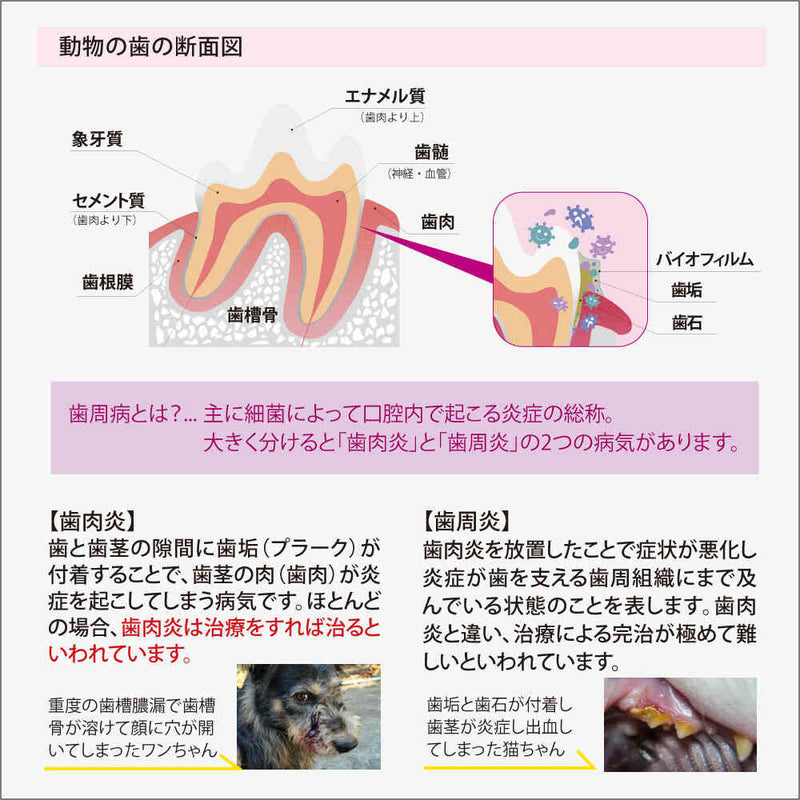 Oxyfreshペットデンタルウォーターアディティブ473ml メーカー直送 ▼返品・キャンセル不可【他商品との同時購入不可】