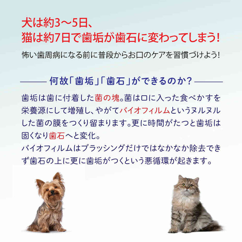 Oxyfreshペットデンタルウォーターアディティブ473ml メーカー直送 ▼返品・キャンセル不可【他商品との同時購入不可】