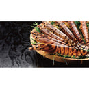 ◆【お歳暮限定】大型活き車海老（230g）◇メーカー直送 ▼返品・キャンセル不可【他商品との同時購入不可】