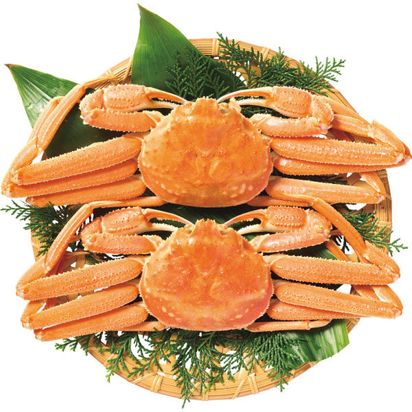 ◆【お歳暮限定】北海道産 茹でオオズワイガニ姿◇メーカー直送 ▼返品・キャンセル不可【他商品との同時購入不可】