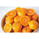 ◆【お歳暮限定】和歌山県産有田みかん（7.5kg）◇メーカー直送 ▼返品・キャンセル不可【他商品との同時購入不可】