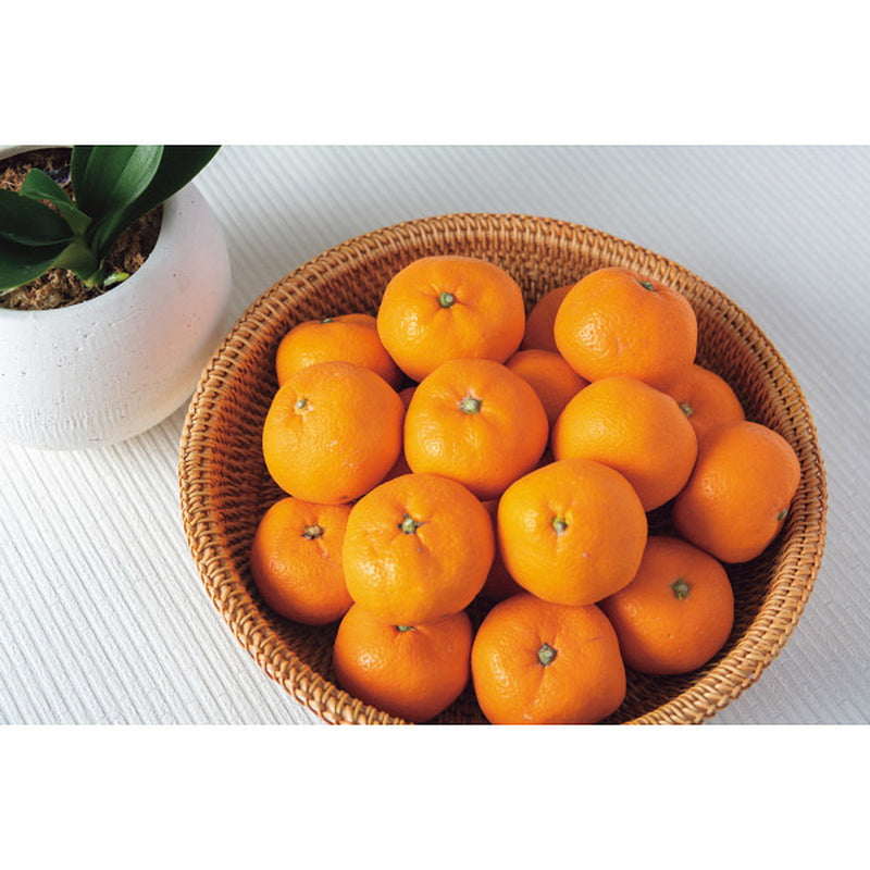 ◆【お歳暮限定】有田みかん・サンふじりんご・王林りんご◇メーカー直送 ▼返品・キャンセル不可【他商品との同時購入不可】