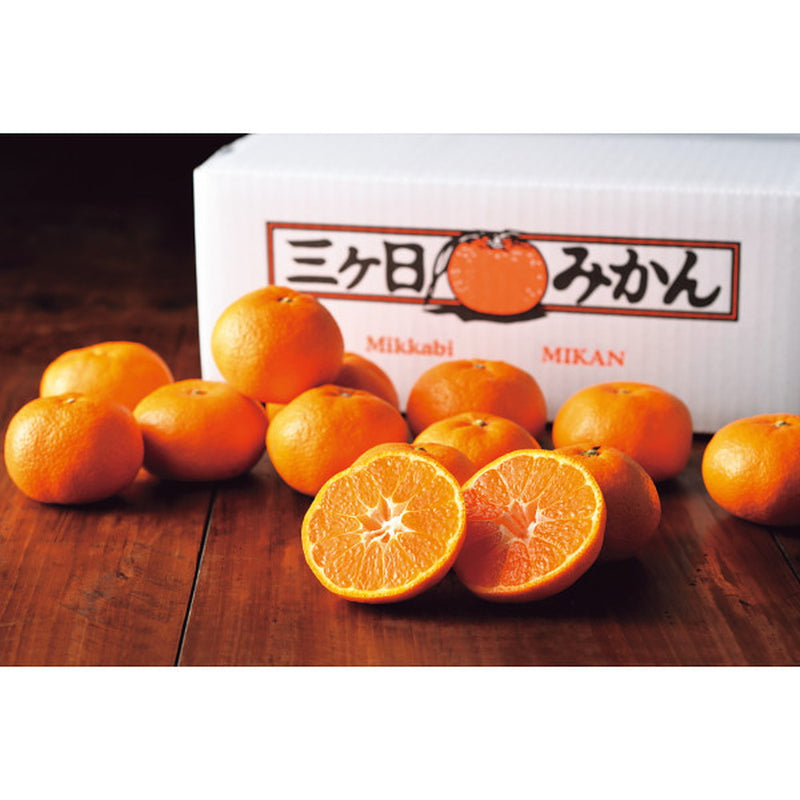 ◆【お歳暮限定】静岡県産 三ヶ日みかん（4kg）◇メーカー直送 ▼返品・キャンセル不可【他商品との同時購入不可】