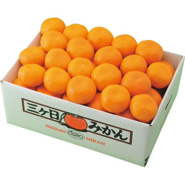 ◆【お歳暮限定】静岡県産 三ヶ日みかん（4kg）◇メーカー直送 ▼返品・キャンセル不可【他商品との同時購入不可】