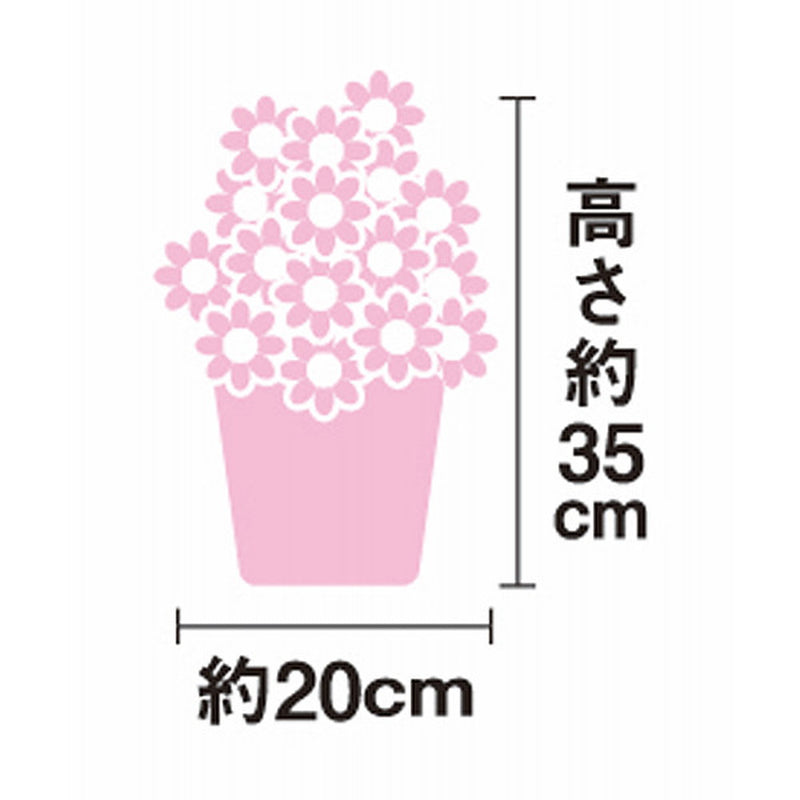 【母の日限定】カーネーション鉢植え５号＆徳島なると金時のどら焼き◇ メーカー直送 ▼返品・キャンセル不可【他商品との同時購入不可