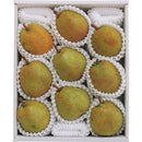 ◆【お歳暮限定】井上さんの大玉棚作りラ・フランス3kg（6～9玉）◇メーカー直送 ▼返品・キャンセル不可【他商品との同時購入不可】