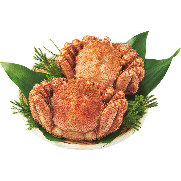◆【お歳暮限定】北海道産 ボイル毛ガニ（2杯）◇メーカー直送 ▼返品・キャンセル不可【他商品との同時購入不可】