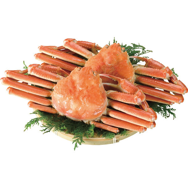 ◆【お歳暮限定】ボイルずわいがに姿（2杯 計1kg）◇メーカー直送 ▼返品・キャンセル不可【他商品との同時購入不可】