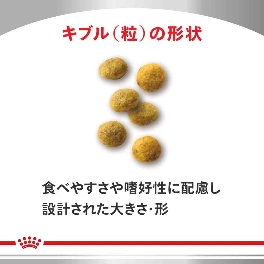 猫用 腎臓サポート 500gx1