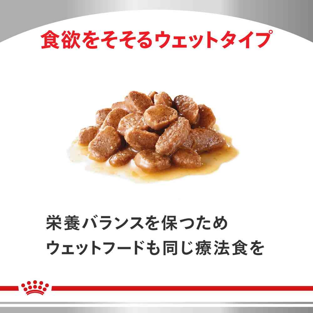 猫用 腎臓サポート 4kgx1