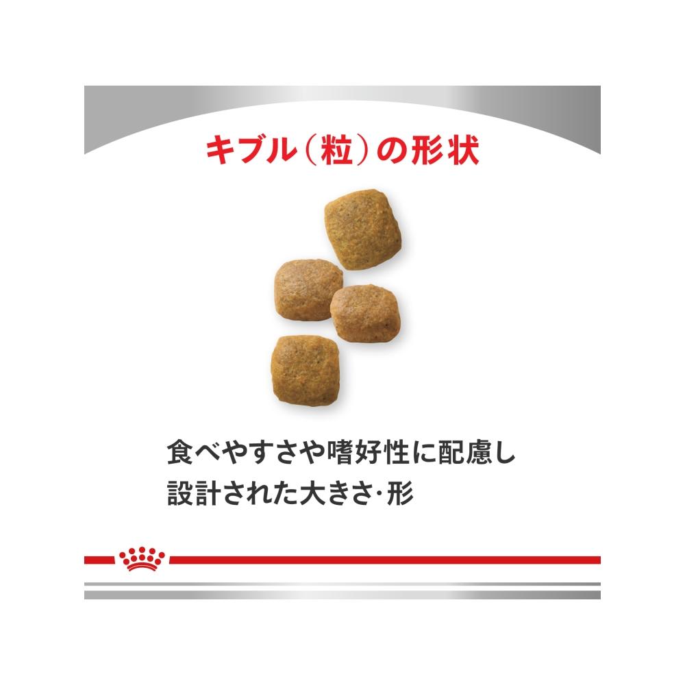 犬用 関節サポート 3kgx1