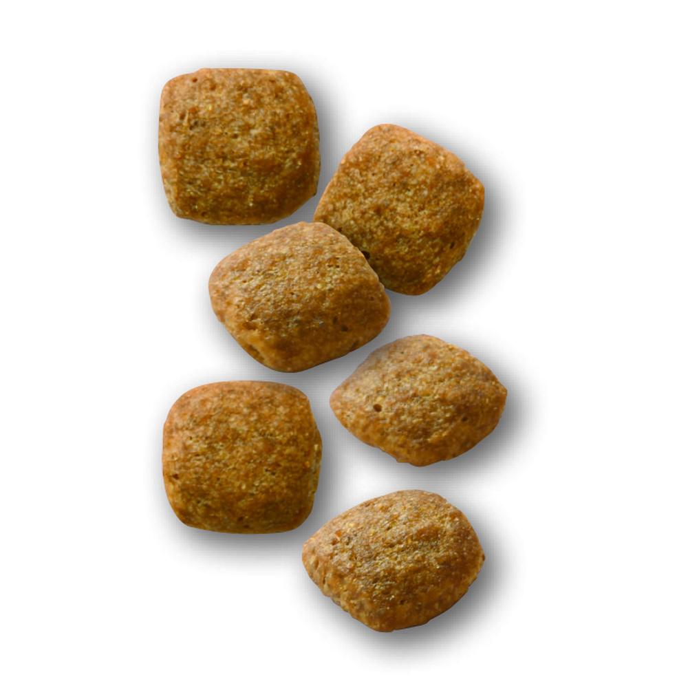 糖コントロール（猫用） 30g×58 糖コントロール（猫用） 30g×58
