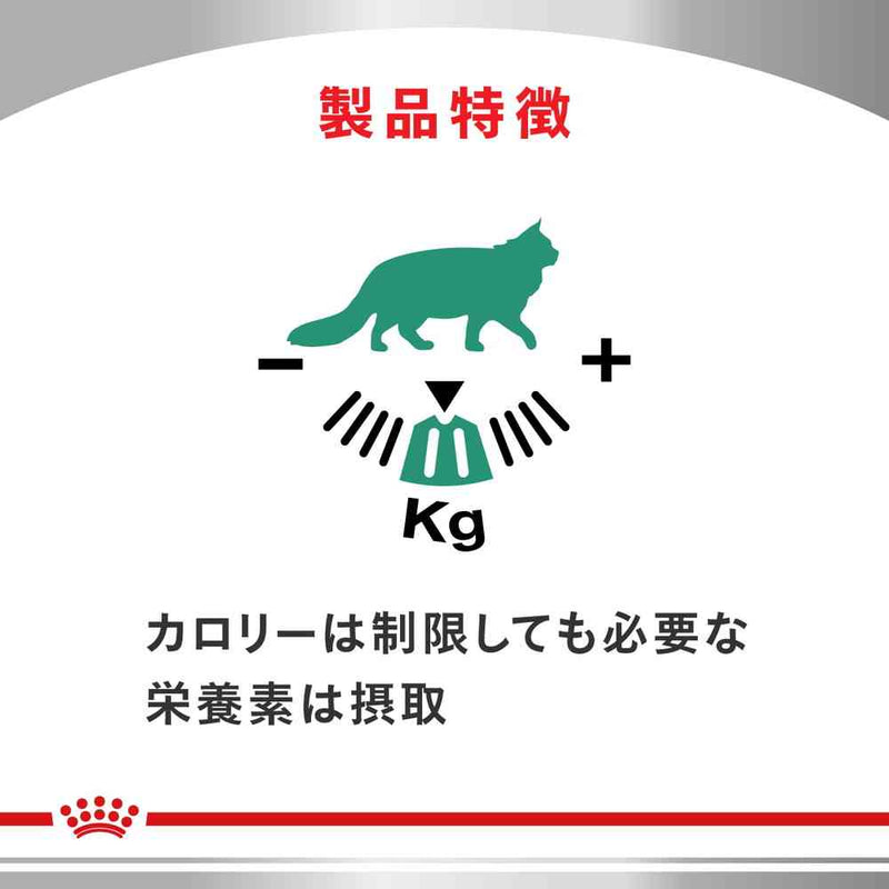 猫用 満腹感サポート 2kgx1