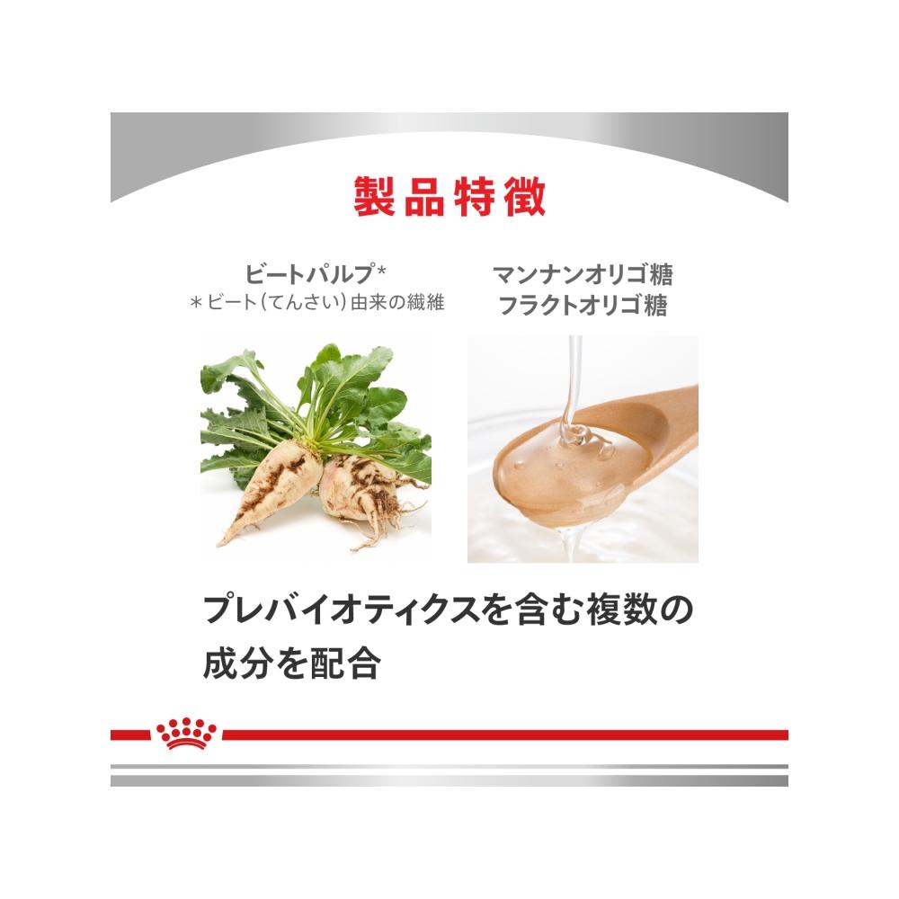 犬用 消化器サポート(高繊維) 1kgx1