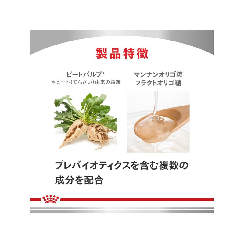 犬用 消化器サポート(高繊維) 1kgx1 犬用 消化器サポート(高繊維) 1kgx1