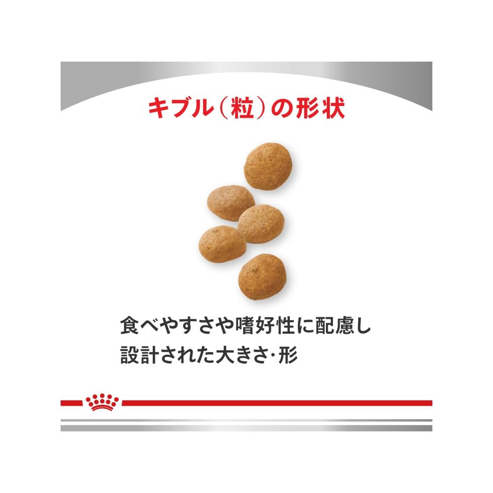 犬用 消化器サポート(高繊維) 3kgx1