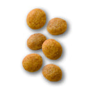 猫用 肝臓サポート 500gx1