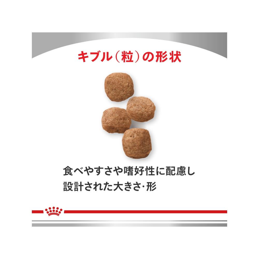 犬用 セレクトプロテイン(ダック&タピオカ) 1kgx1