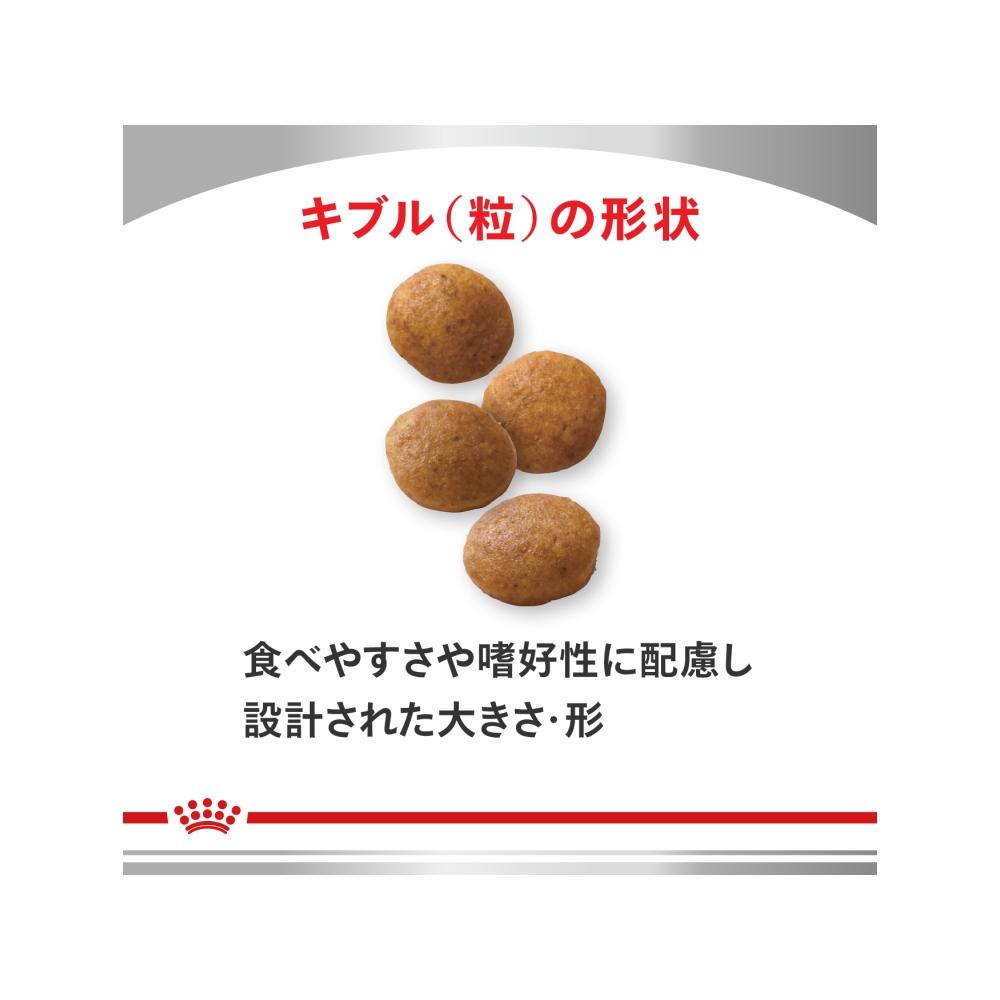 犬用 アミノペプチドフォーミュラ 3kgx1