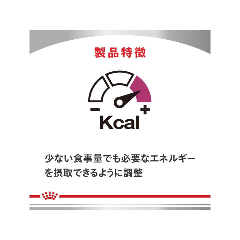 セット売り！！腎臓サポートセレクション2k×2【4k】　エネルギーチュール44本 犬用 腎臓サポート セレクション 1kgx1