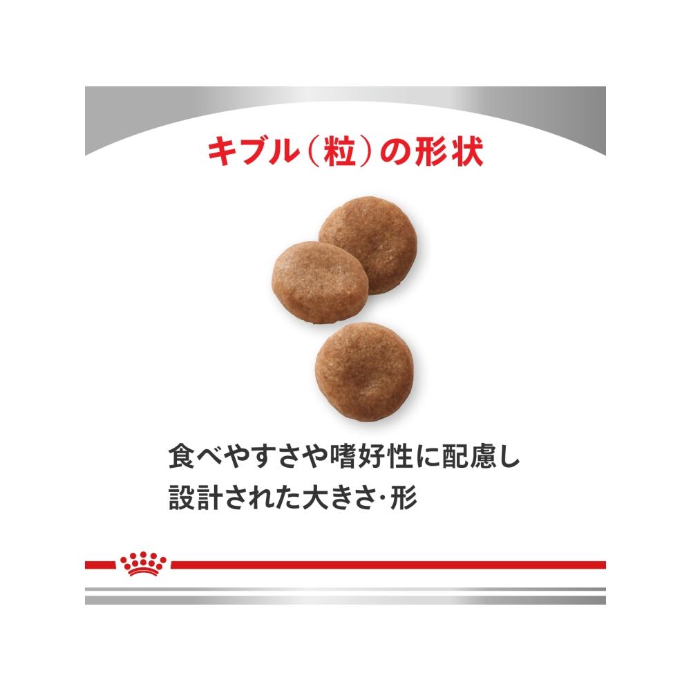 犬用 セレクトプロテインF&P 1㎏ x 1