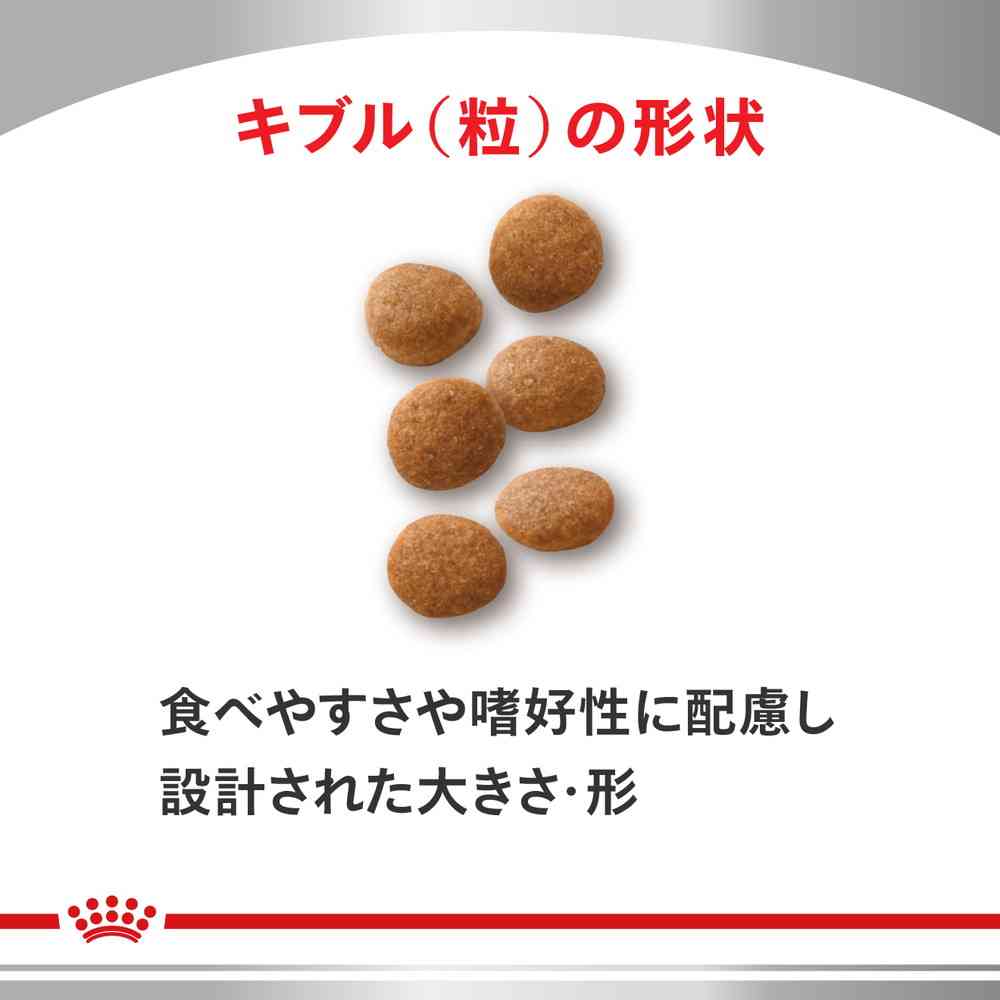 猫用 ユリナリーS/Oライト 500gx1