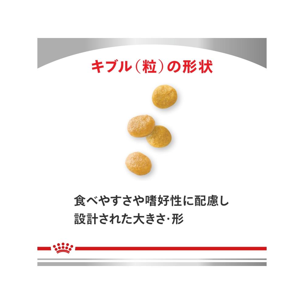 犬用 ユリナリーS/O小型犬用S 1kgx1