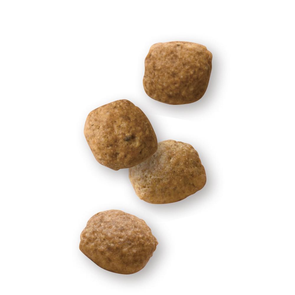 3182550903578_2_1000x.jpg?v=