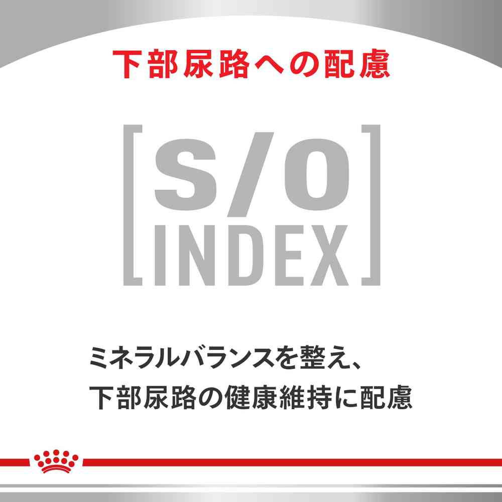 猫用 早期腎臓サポート 2kg