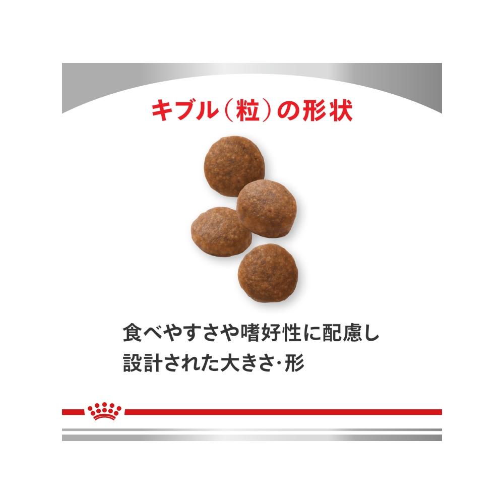 犬用 心臓サポート 3kgx1