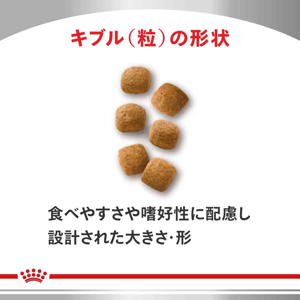 猫用 ニュータードケア 1.5kgx1