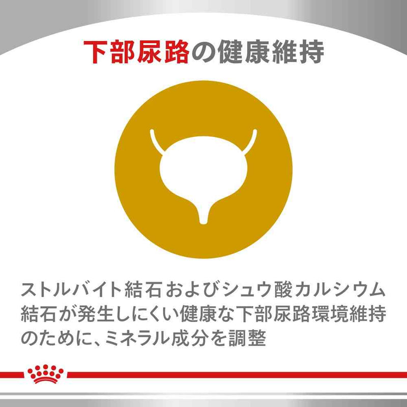 猫用 ニュータードケア 3.5kgx1