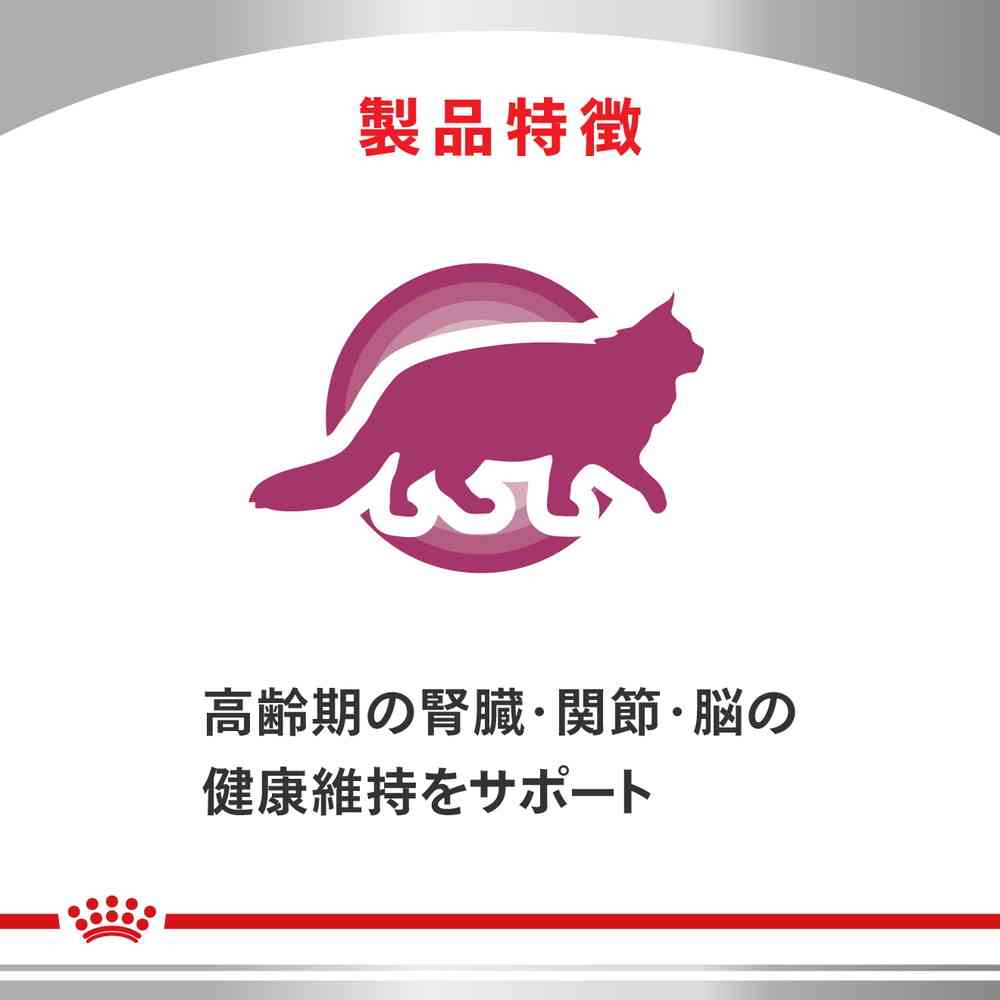 ロイヤルカナン猫用エイジングケアケアライト ロイヤルカナン 猫用 エイジング 15+ 2kg（3182550959711）｜猫フード