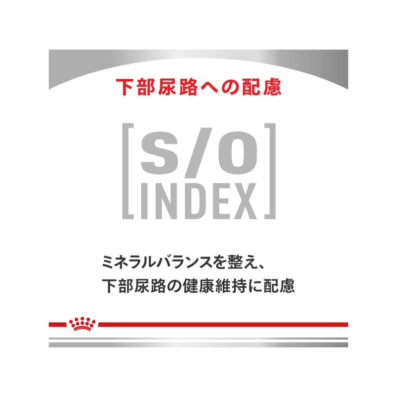 犬用 スキントピック 小型犬用 3kgx1