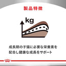 猫用 ニュータードケアキトン 2kgx1