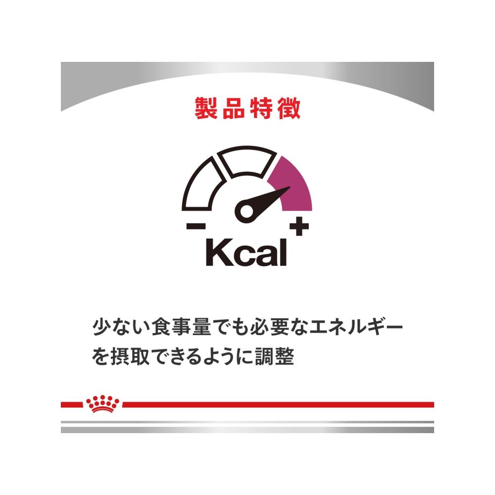 犬用 腎臓サポート リキッド 237mL×4本