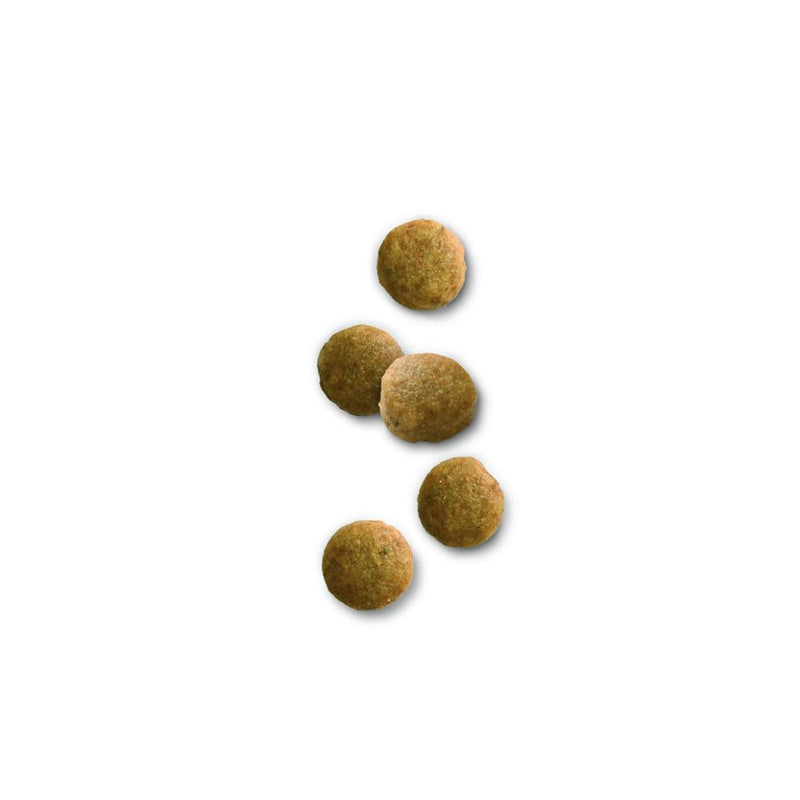 犬用 腎臓サポート＋低分子プロテイン 小粒 3kg×1